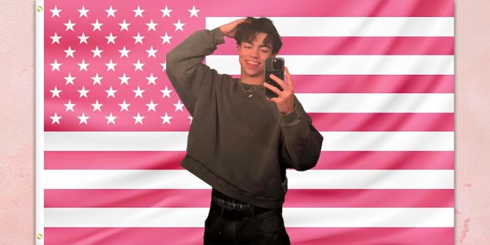 1080x1080 Malachi Barton Pink Flag Tapestry – Aesthetic Disney Star Wall Art, Cute  Fan Gift, Fusiabeetle Retro Room Decor - Etsy