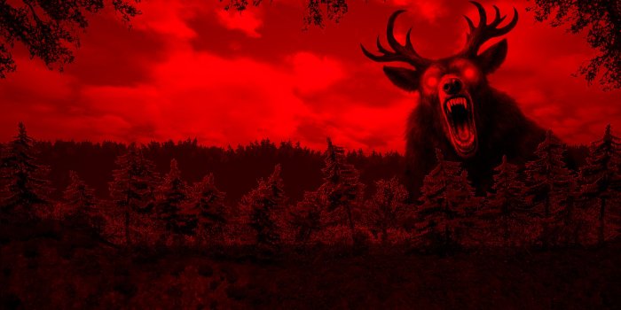 3840x2160 89 Nights in the Forest