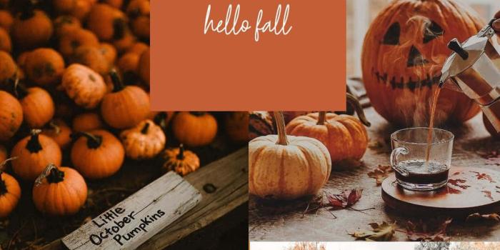 1080x1920 Download Cute Autumn Season Collage Wallpaper | Wallpapers.com