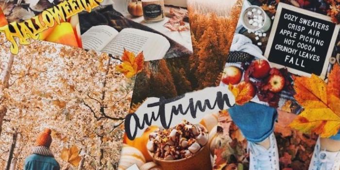 736x1514 Fall Collage