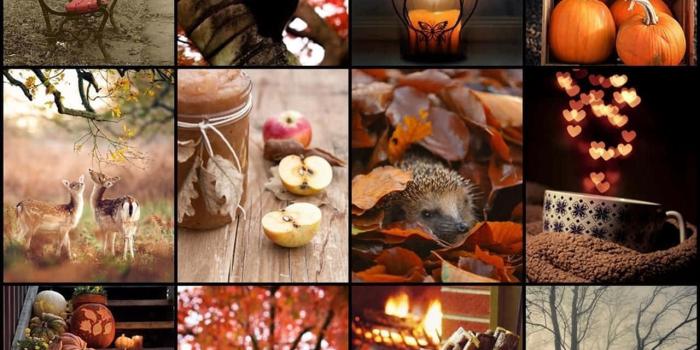 1280x1193 100+] Fall Collage Desktop Wallpapers | Wallpapers.com