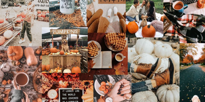 1680x1050 Laptop Collage Autumn Wallpapers