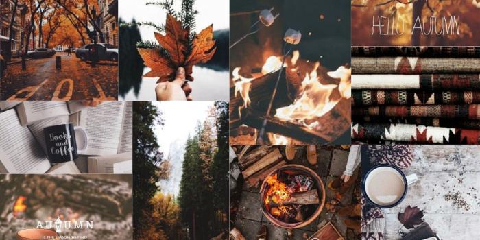 1920x1080 Autumn Fall Leaves Trees Cups Books Firewood HD Fall Collage Wallpapers |  HD Wallpapers | ID #90693