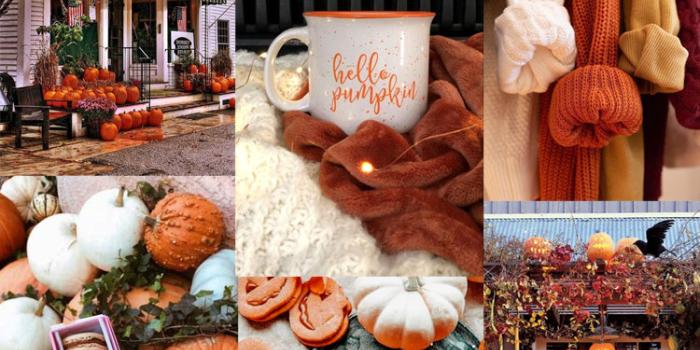 750x1433 20 Autumn Collage Wallpapers : Hello Pumpkin 1 - Fab Mood | Colour + Mood +  Style Inspiration