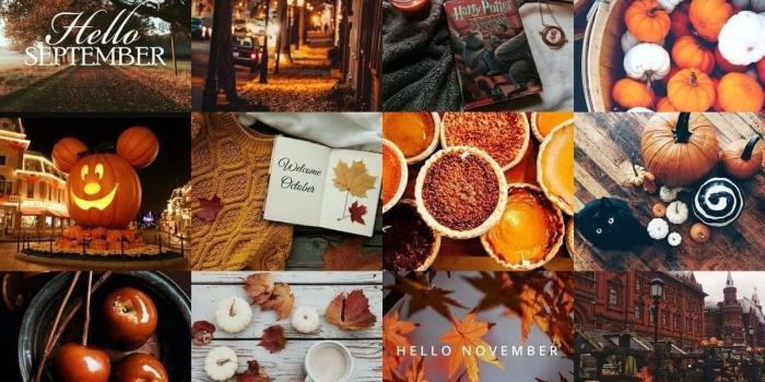 1200x750 Download Capture the changing beauty of Fall in the colors of this desktop  collage. Wallpaper | Wallpapers.com