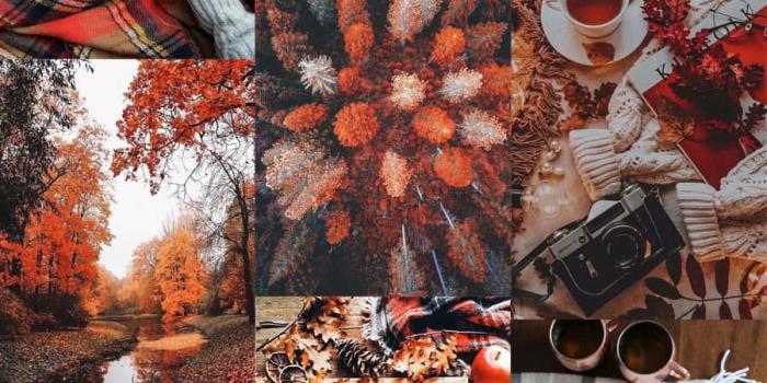 900x1668 Autumn Aesthetic Wallpapers - 4k, HD Autumn Aesthetic Backgrounds on  WallpaperBat