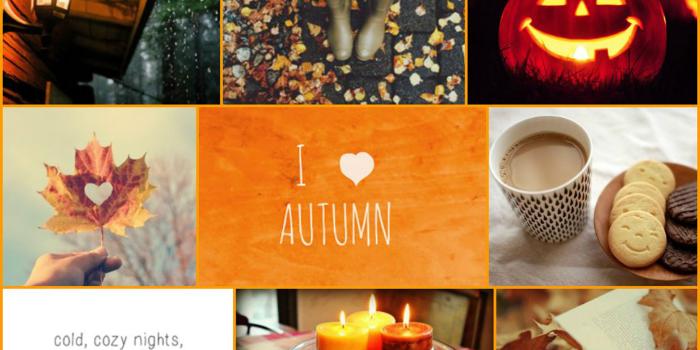 1920x1080 Pumpkin Lights Cookes Candles Autumn Season HD Fall Collage Wallpapers | HD  Wallpapers | ID #90707