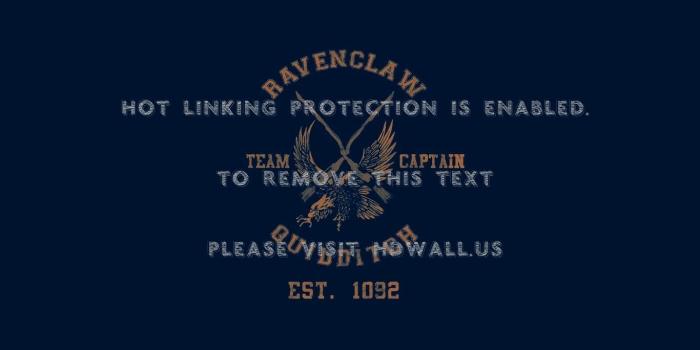1366x800 harry potter quidditch snitch quaffle bludger hogwarts ravenclaw