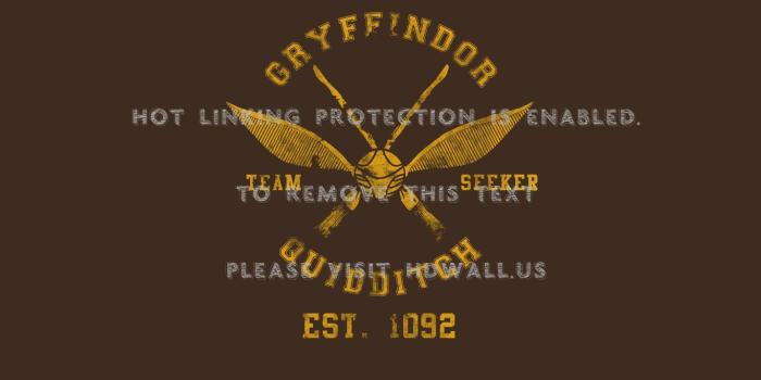 1366x768 harry potter quidditch gryffindor hogwarts