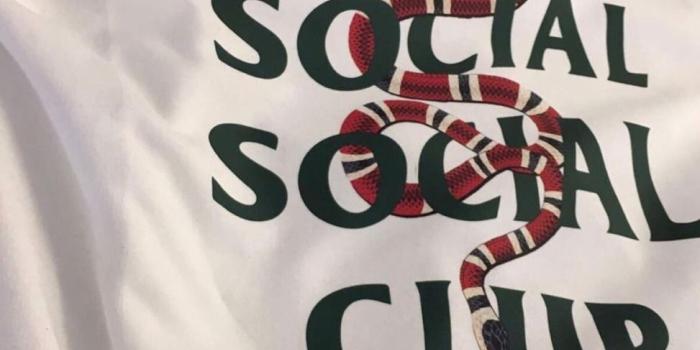 973x1280 Wallpaper Queen