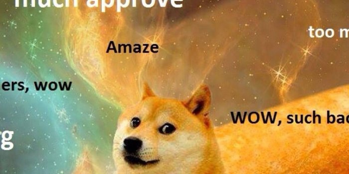 1080x1920 76+ Doge Meme Wallpapers on WallpaperPlay