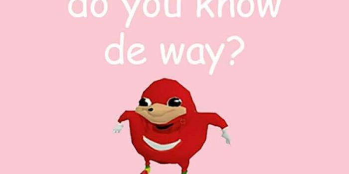 800x1600 Ugandan Knuckles 
