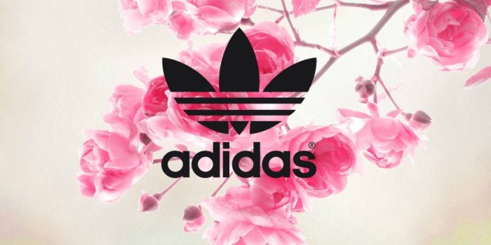 1280x800 Pink Adidas Wallpaper - Flower Adidas Background (#282694) - HD