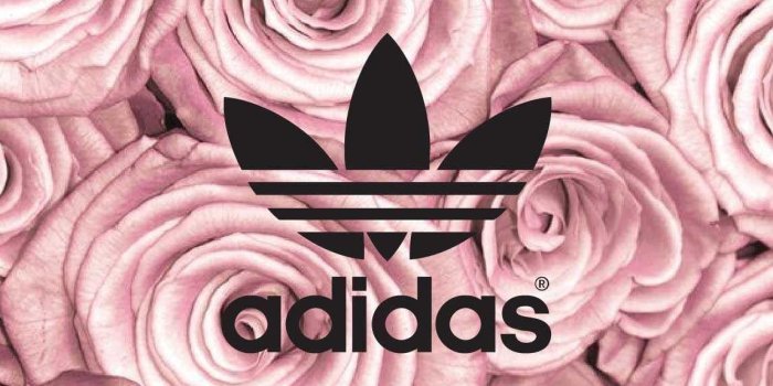 1146x2083 Pink Adidas Wallpapers