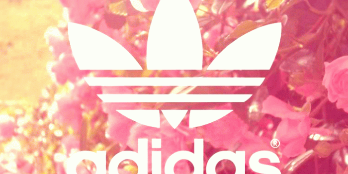 720x1280 100 images about adidas wallpapers on We Heart It | See more about