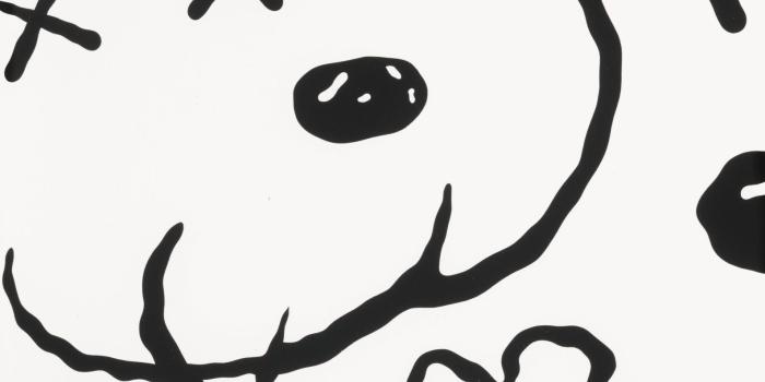 1586x2000 kaws snoopy - Google Search | Birthdays in 2019 | Snoopy wallpaper