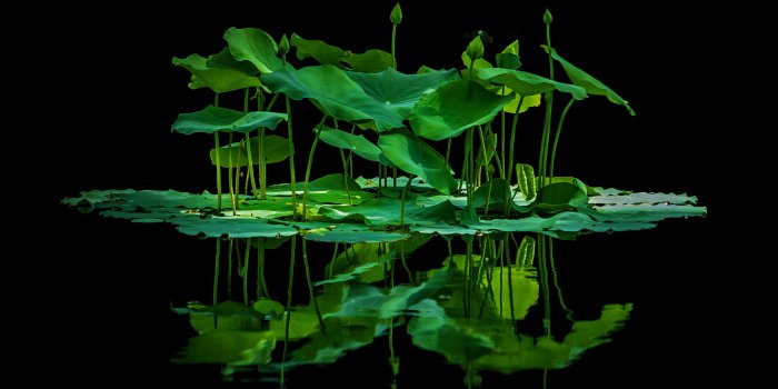 2560x1600 Wallpaper Backgrounds: Free HD Wallpapers for Mac and PC | I Like To
