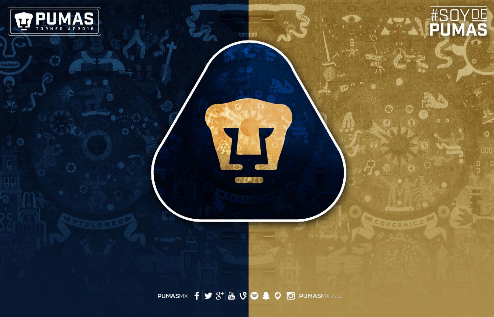2238x1439 Pumas Unam Wallpapers (57+ images)