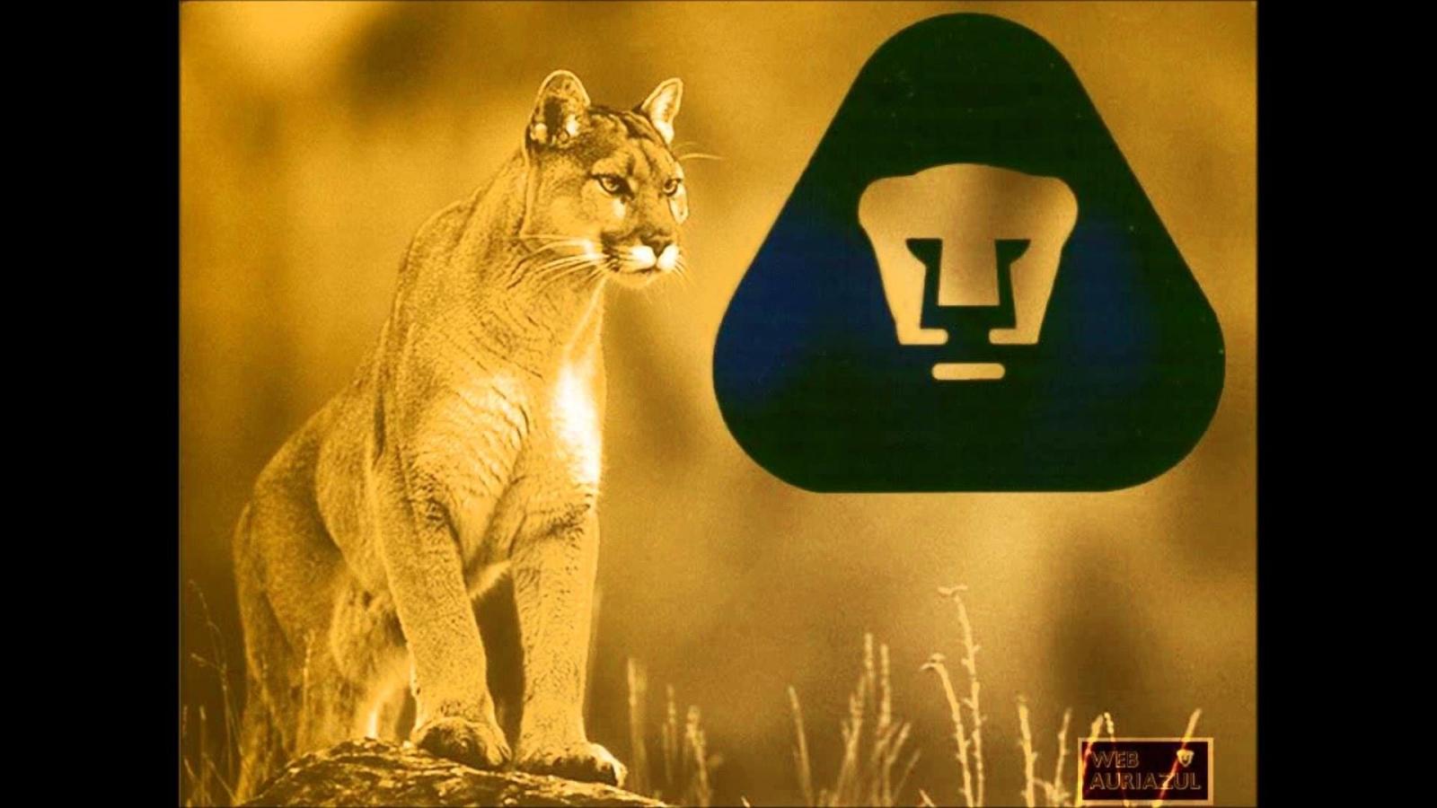 1920x1080 Pumas Unam Wallpapers (57+ images)