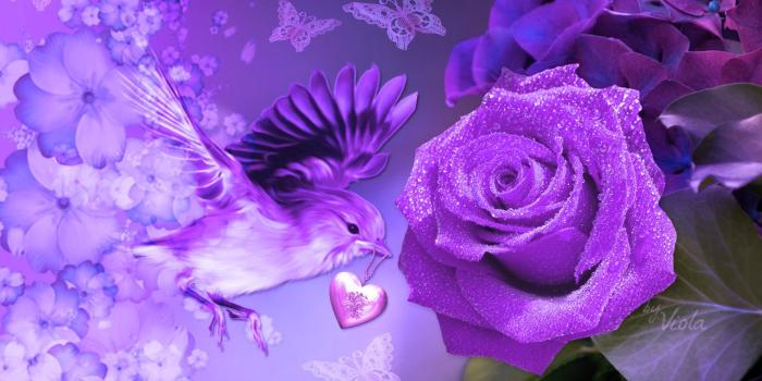 1680x1050 Flowers: Design Purple Viola Mothers Artwork Bird Butterflies