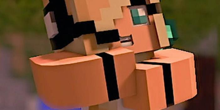 1070x974 Minecraft Videos and Songs: 