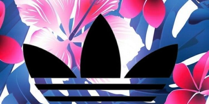 750x1334 sc: amyaa.janaee ✨ | adidas wallpaper in 2019 | Hypebeast wallpaper