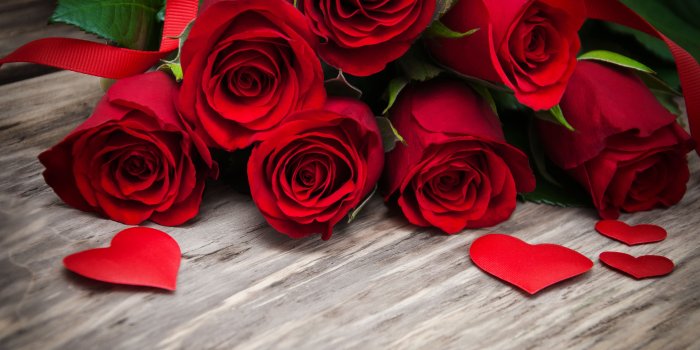 4114x2631 4K Rose Wallpapers - Top Free 4K Rose Backgrounds - WallpaperAccess