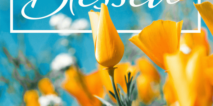 1200x2135 Download Mobile Phone Wallpaper & Backgrounds FREE