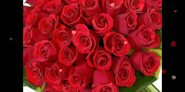 1280x720 Red Roses For You,Flowers For You,Beautiful Wallpapers,E-card,Whatsapp Video