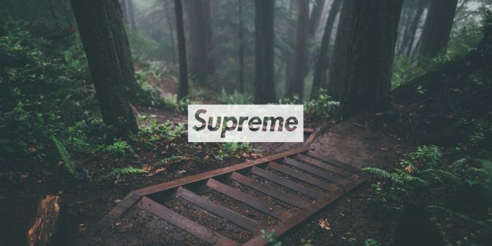 1920x1080 Supreme Full HD Wallpapers Free Download for Desktop PC | Wallpapers