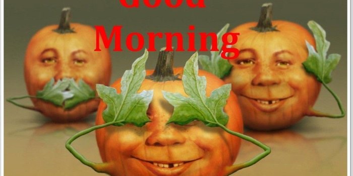 1052x823 21 Funny Good Morning Quotes, Sayings, Messages and Status | Crafts
