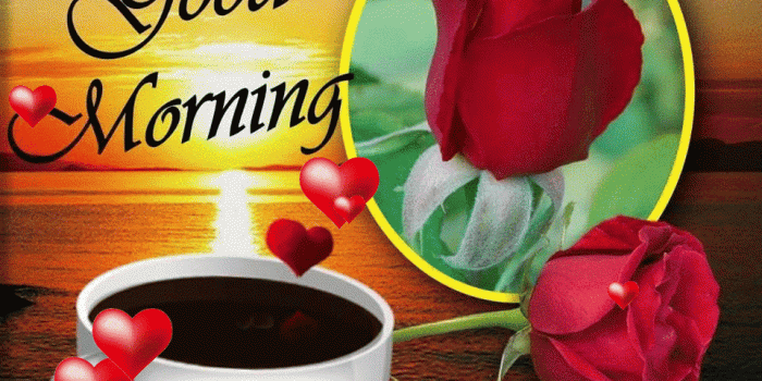 960x893 Cute Good Morning Gif Pictures, Photos, and Images for Facebook