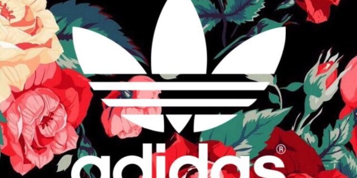 750x1332 Adidas Wallpaper Roses Free Wallpaper & Backgrounds - Larutadelsorigens