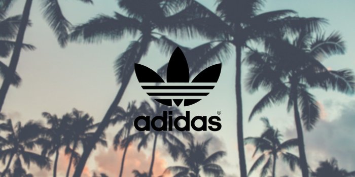 1920x1080 Adidas, Palm Trees Background ❤ 4K HD Desktop Wallpaper for 4K