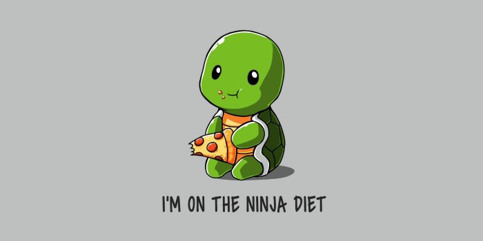 1920x1080 1024x768 Funny Ninja On Diet 1024x768 Resolution HD 4k Wallpapers