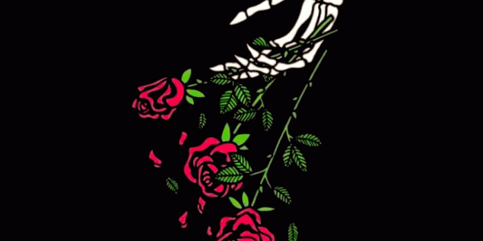 750x1334 Wallpaper Gatos, Sad Wallpaper, Black - Aesthetic Rose Wallpaper