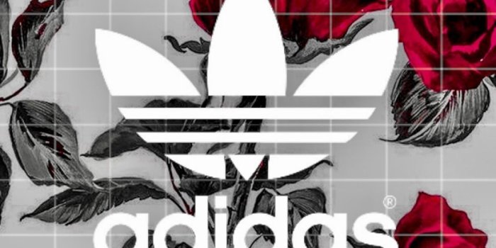 1152x2048 This Site Has The Best Collection Of Hd Iphone Adidas - Adidas