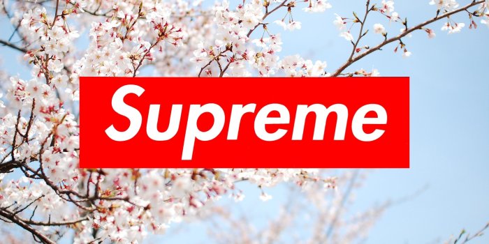 2560x1440 83+ Supreme Wallpapers on WallpaperPlay