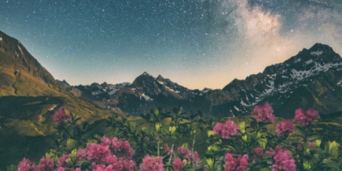 1080x1920 Aesthetic Nature Wallpapers - Top Free Aesthetic Nature Backgrounds