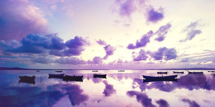 2560x1600 66+ Purple Nature Wallpapers on WallpaperPlay