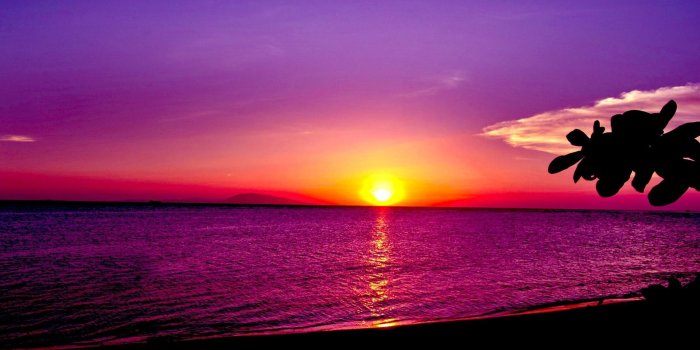 1920x1200 67+ Pretty Sunset Wallpapers on WallpaperPlay