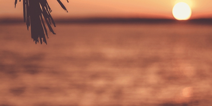 1242x2688 Sunset Wallpaper for iPhone X, 8, 7, 6 - Free Download on 3Wallpapers