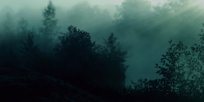 1920x1080 Dark Nature Wallpaper - Desktop Dark Green Aesthetic, Hd Wallpapers