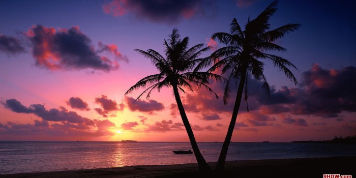 1920x1080 Palm Tree Sunset Wallpaper (70+ images)