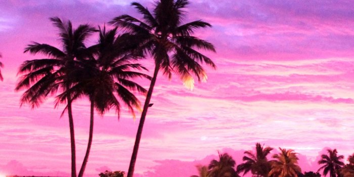 1080x1920 Sunset Wallpaper for iPhone X, 8, 7, 6 - Free Download on 3Wallpapers