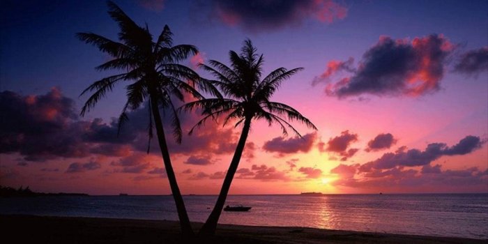 1280x720 Beach Sunset Live Wallpaper ,Goa, India