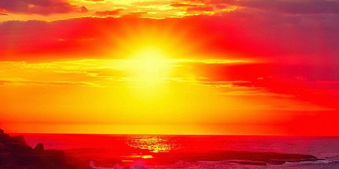 1242x2208 Sunset Beach Nature Afternoon Love Android wallpaper - Android HD