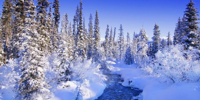 1440x900 Encyclopedia Natural Aesthetic Snow Wallpaper - Winter Nature