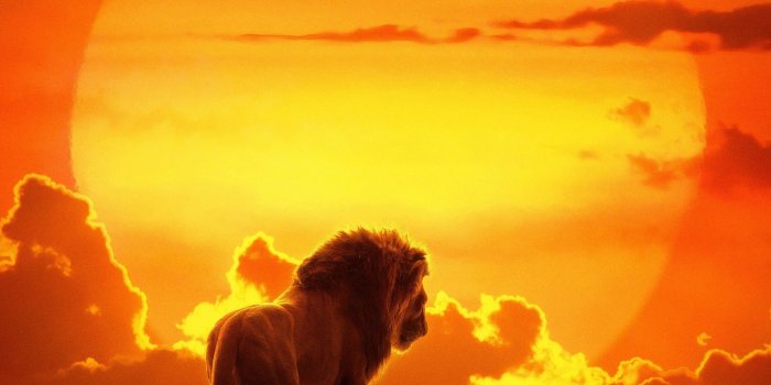 2500x4000 The Lion King Wallpaper | Wallpaper Hubs