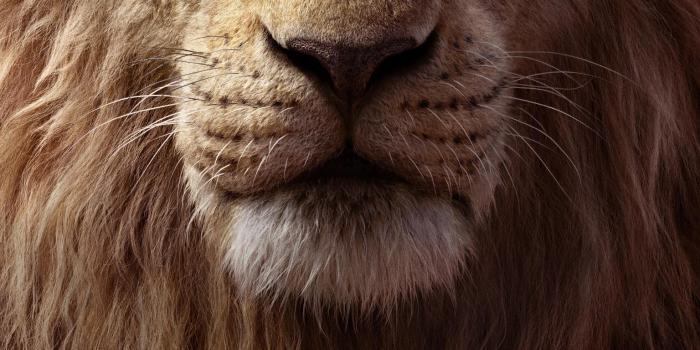 1536x2732 The Lion King (2019) Phone Wallpaper | Moviemania
